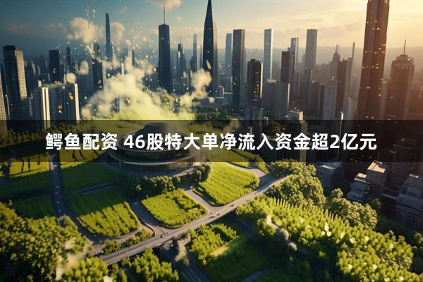 鳄鱼配资 46股特大单净流入资金超2亿元