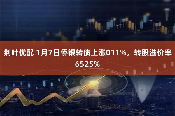 荆叶优配 1月7日侨银转债上涨011%，转股溢价率6525%